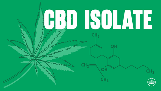 CBD Isolate Buying Guide