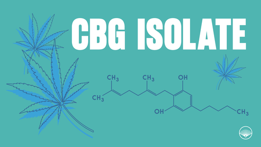 CBG Isolate Buying Guide