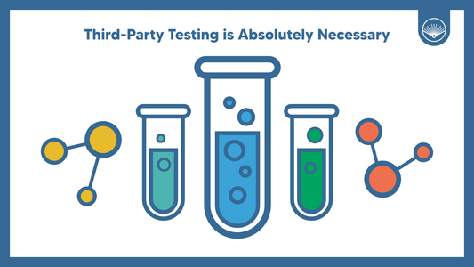 Why Testing Matters