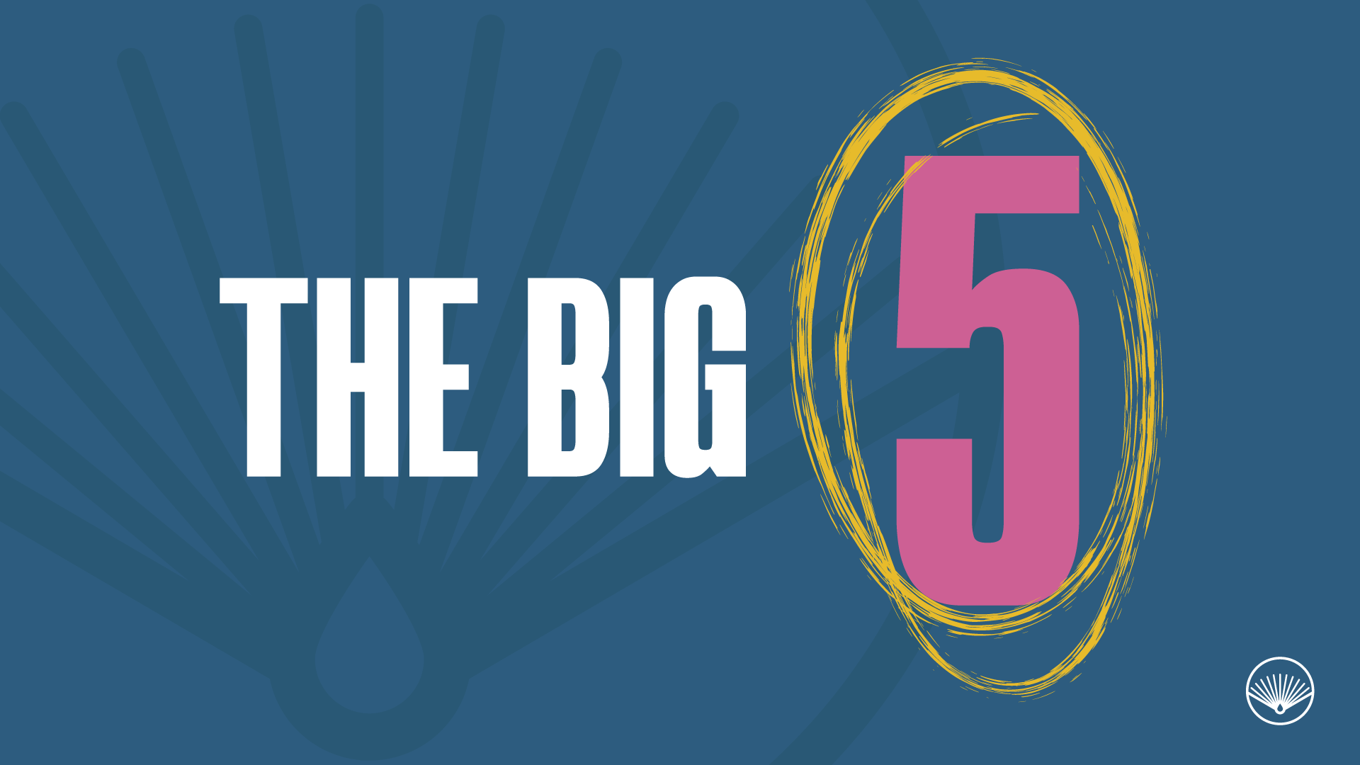 TRPV1 Receptor example