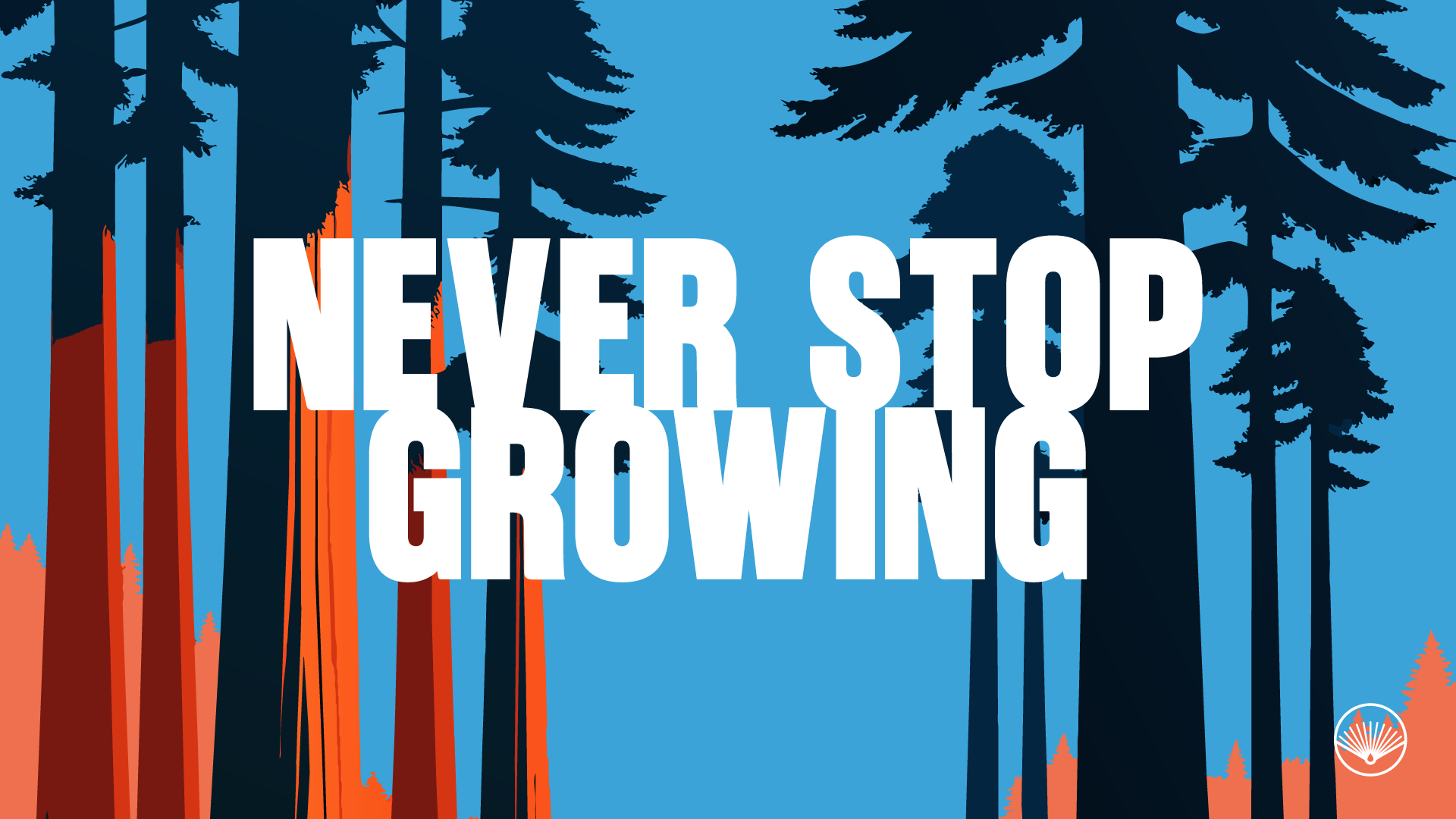 TRPV1 Receptor example