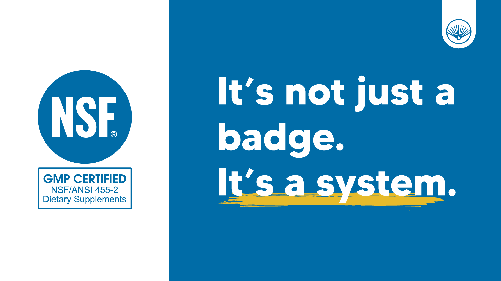 TRPV1 Receptor example