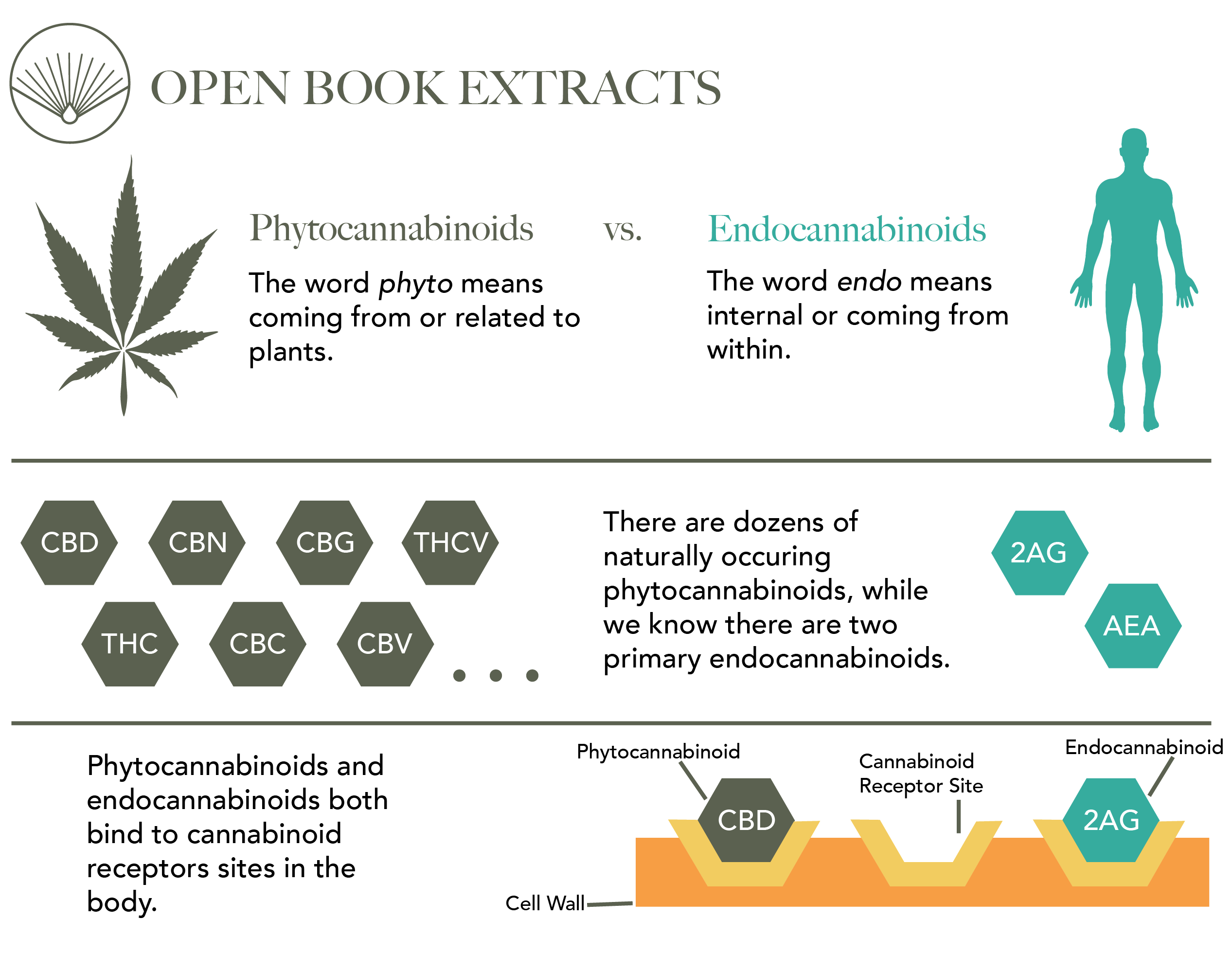 Phytocannabinoids