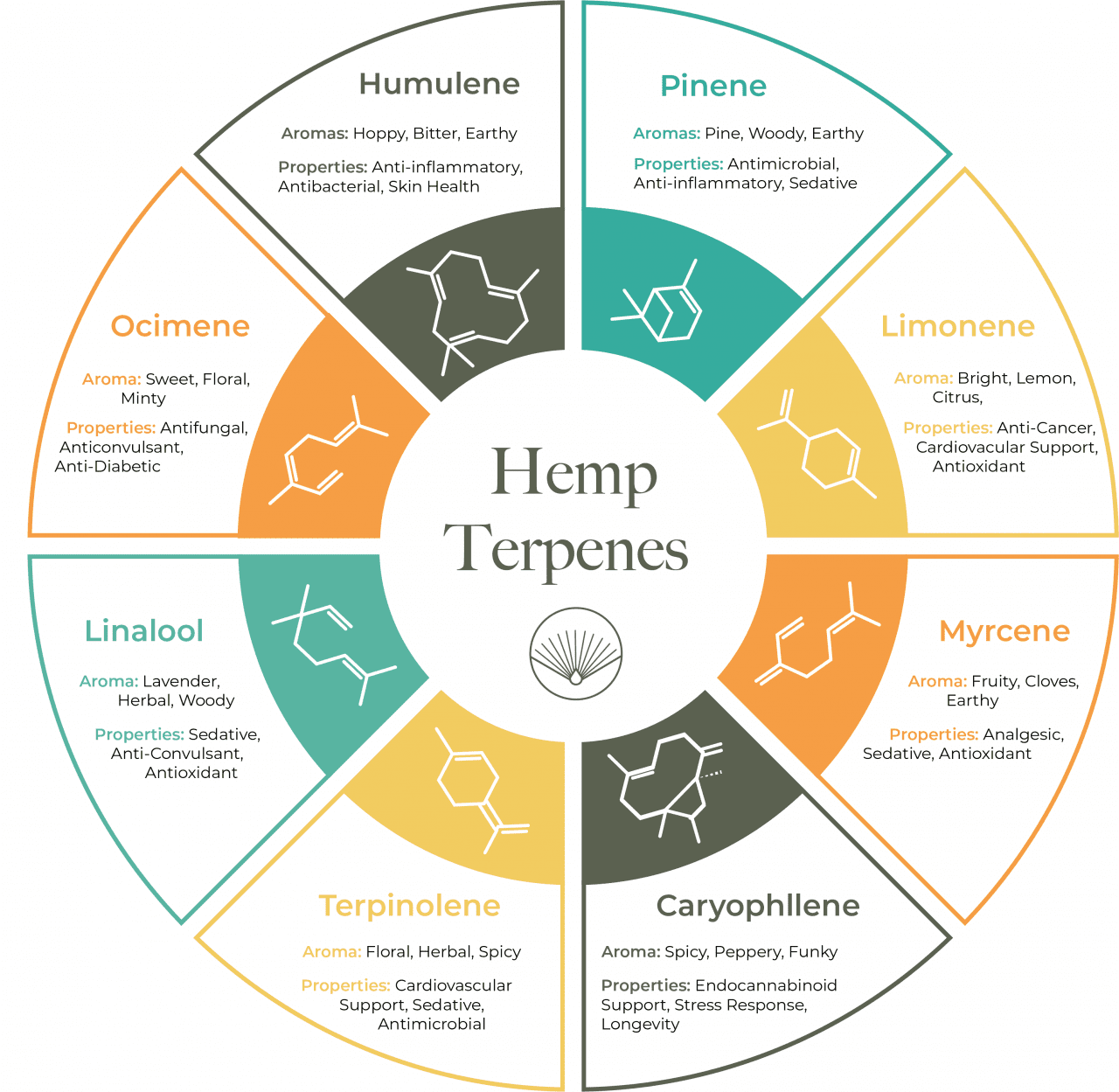 How Terpenes Support Wellbeing Open Book Extracts
