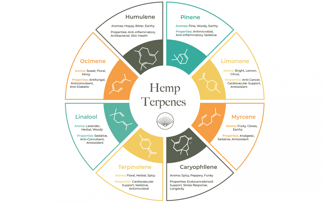 How Terpenes Support Wellbeing